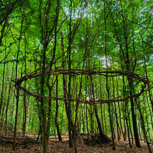 Exposition Refuge Cheval et Forêt et Théâtre de la parole